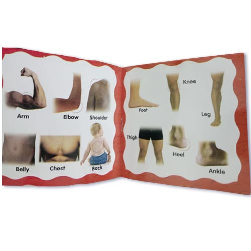 Pack Of 10 Pre School Books For Your Kids - Kids Books For Early Learning - Reading Books For Kids And Children KS