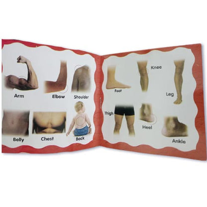 Pack Of 10 Pre School Books For Your Kids - Kids Books For Early Learning - Reading Books For Kids And Children KS